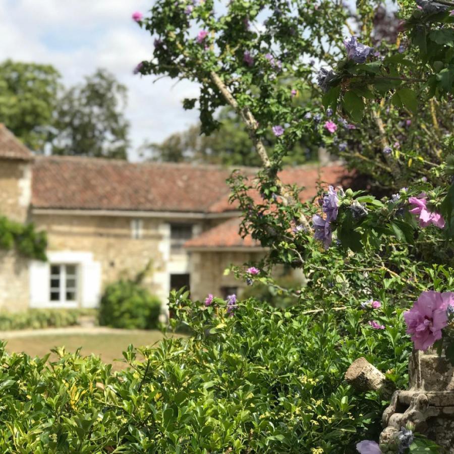 Le Logis De La Pataudiere Champigny-sur-Veude Bagian luar foto